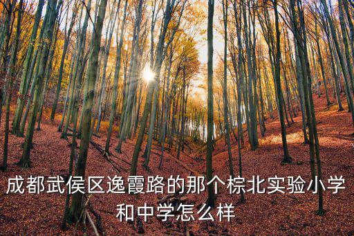 成都武侯區(qū)逸霞路的那個(gè)棕北實(shí)驗(yàn)小學(xué)和中學(xué)怎么樣
