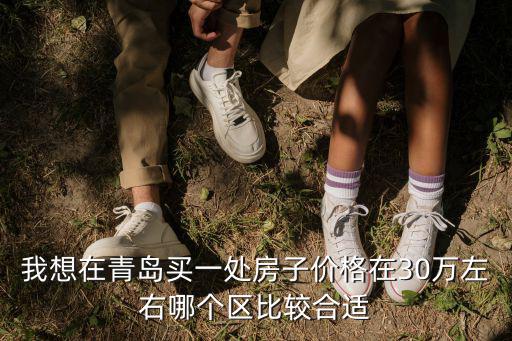 我想在青島買一處房子價格在30萬左右哪個區(qū)比較合適