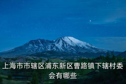 上海市市轄區浦東新區曹路鎮下轄村委會有哪些