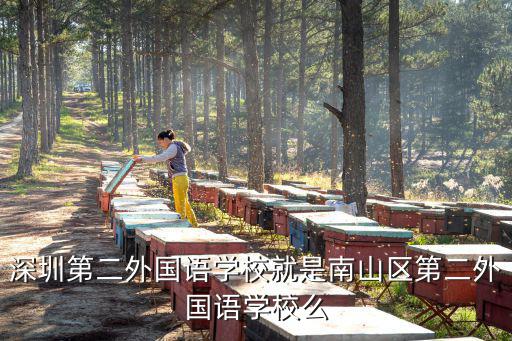 深圳第二外國語學(xué)校就是南山區(qū)第二外國語學(xué)校么