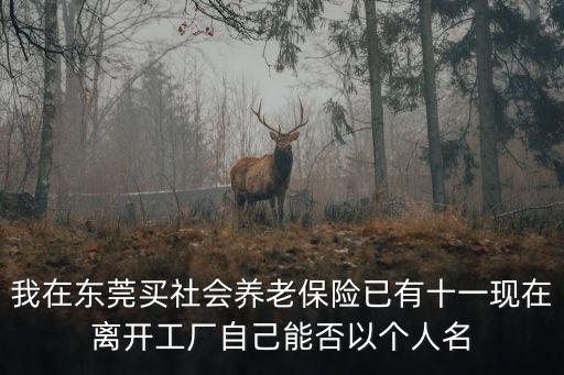 東莞 村改居 試點(diǎn)，我在東莞買社會(huì)養(yǎng)老保險(xiǎn)已有十一現(xiàn)在離開(kāi)工廠自己能否以個(gè)人名