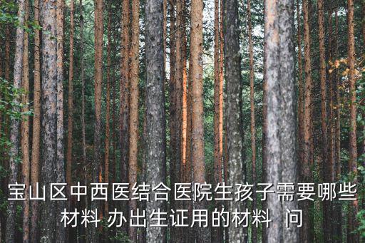 寶山區中西醫結合醫院生孩子需要哪些材料 辦出生證用的材料  問
