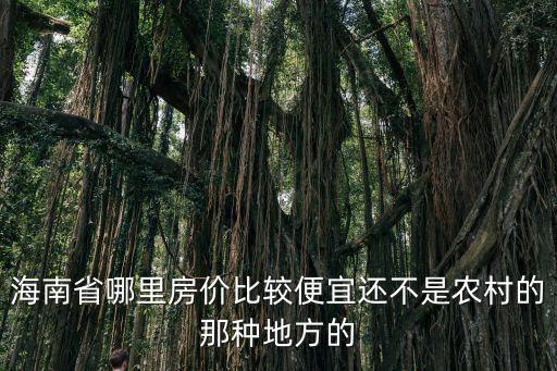 海南省哪個縣城房價便宜，海南哪個縣市的樓價最便宜