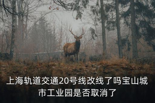 上海軌道交通20號線改線了嗎寶山城市工業園是否取消了