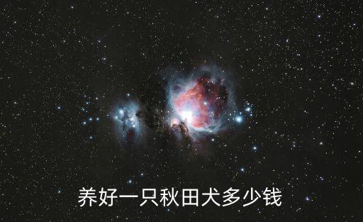 秋田幼犬多少錢，一般品相的秋田犬幼崽大約多少錢一只