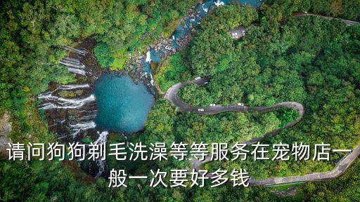 請問狗狗剃毛洗澡等等服務在寵物店一般一次要好多錢