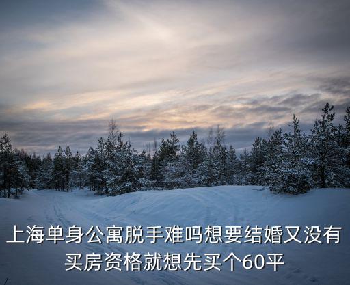 上海單身公寓脫手難嗎想要結婚又沒有買房資格就想先買個60平