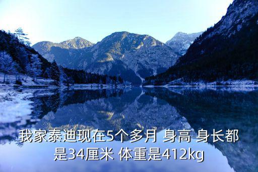 泰迪狗5個月多少斤，泰迪狗五個半月泰迪 11斤重是什么體 迷你泰迪最重能長多重