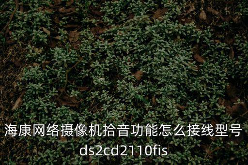 ?？稻W(wǎng)絡(luò)攝像機拾音功能怎么接線型號ds2cd2110fis