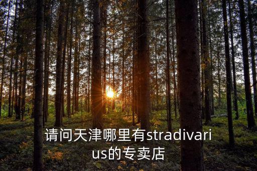 請問天津哪里有stradivarius的專賣店