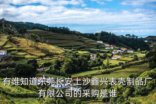 有誰知道東莞長安上沙鑫興表殼制品廠有限公司的采購是誰