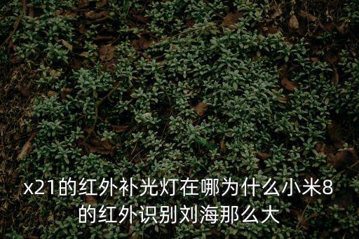 x21的紅外補(bǔ)光燈在哪為什么小米8的紅外識(shí)別劉海那么大