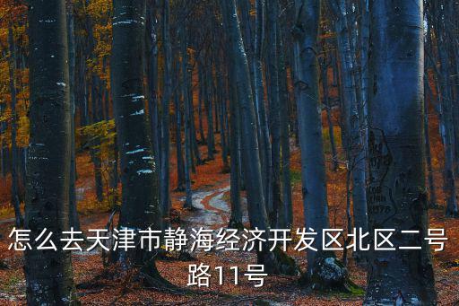 怎么去天津市靜海經(jīng)濟(jì)開(kāi)發(fā)區(qū)北區(qū)二號(hào)路11號(hào)