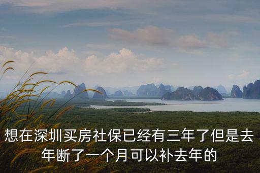 想在深圳買房社保已經(jīng)有三年了但是去年斷了一個(gè)月可以補(bǔ)去年的