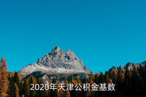 2020年天津公積金基數