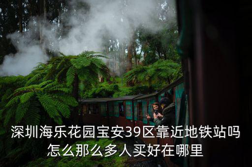 深圳海樂花園寶安39區(qū)靠近地鐵站嗎怎么那么多人買好在哪里