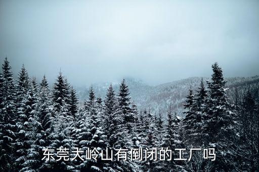 東莞大嶺山有倒閉的工廠嗎