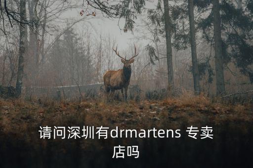請問深圳有drmartens 專賣店嗎