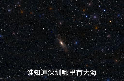 誰知道深圳哪里有大海