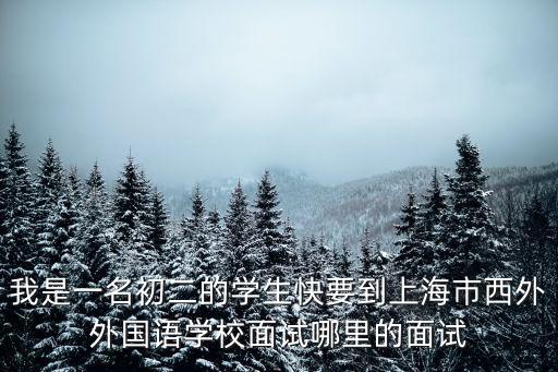 我是一名初二的學生快要到上海市西外外國語學校面試哪里的面試