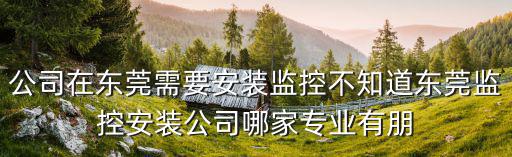 公司在東莞需要安裝監(jiān)控不知道東莞監(jiān)控安裝公司哪家專業(yè)有朋