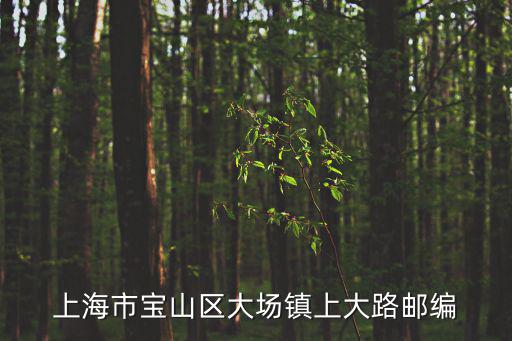 上海市寶山區大場鎮上大路郵編