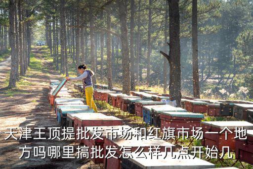 天津王頂提批發市場和紅旗市場一個地方嗎哪里搞批發怎么樣幾點開始幾