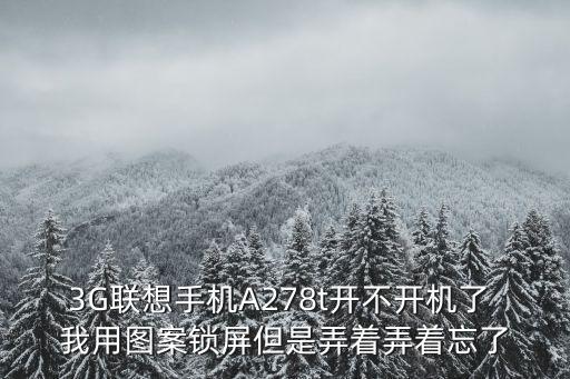 3G聯(lián)想手機(jī)A278t開不開機(jī)了 我用圖案鎖屏但是弄著弄著忘了