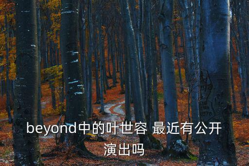 beyond中的葉世容 最近有公開演出嗎