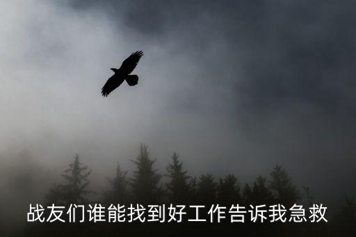戰(zhàn)友們誰能找到好工作告訴我急救