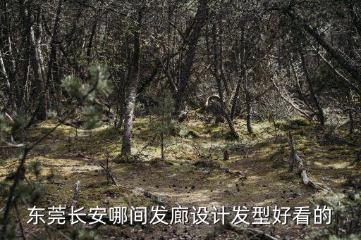 東莞長安哪間發廊設計發型好看的