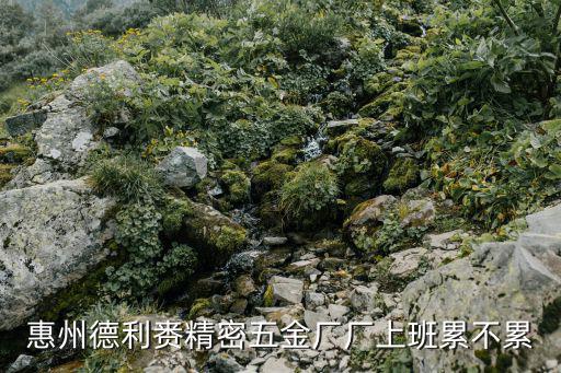 惠州德利賚精密五金廠廠上班累不累