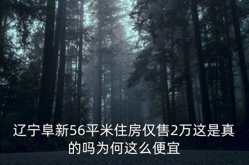 遼寧阜新56平米住房僅售2萬這是真的嗎為何這么便宜