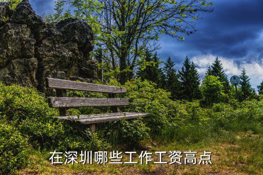深圳有什么工作工資升高，在深圳哪些工作工資高點