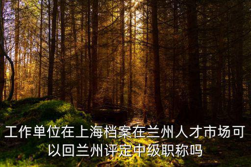 工作單位在上海檔案在蘭州人才市場可以回蘭州評定中級職稱嗎