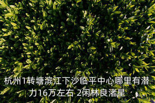 杭州1轉塘濱江下沙臨平中心哪里有潛力16萬左右 2閑林良渚星