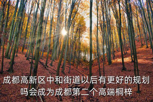 成都高新區(qū)中和街道以后有更好的規(guī)劃嗎會(huì)成為成都第二個(gè)高端桐梓