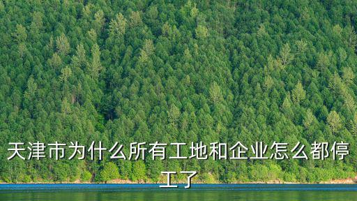 天津市為什么所有工地和企業怎么都停工了