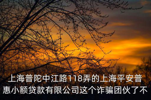 上海市普陀區中江路有平安普惠么，上海普陀中江路118弄的上海平安普惠小額貸款有限公司這個詐騙團伙了不