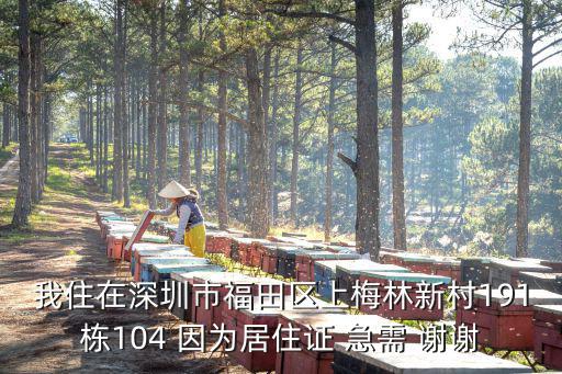我住在深圳市福田區上梅林新村191棟104 因為居住證 急需 謝謝