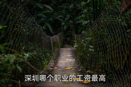 深圳哪個職業的工資最高