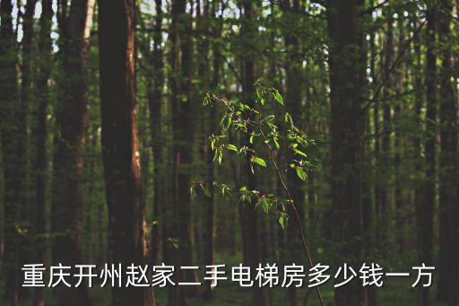 重慶開州趙家二手電梯房多少錢一方