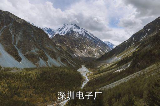 深圳電子廠