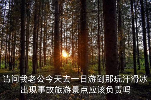 請問我老公今天去一日游到那玩汗滑冰出現事故旅游景點應該負責嗎