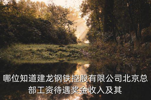 哪位知道建龍鋼鐵控股有限公司北京總部工資待遇獎(jiǎng)金收入及其