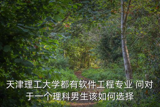 天津理工大學(xué)都有軟件工程專業(yè) 問對于一個理科男生該如何選擇