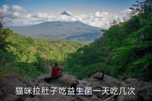 貓咪拉肚子吃益生菌一天吃幾次
