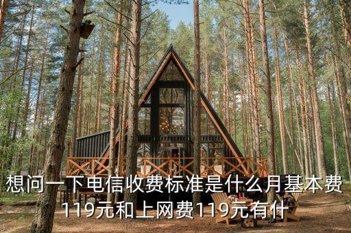 深圳電信119套餐內容，想問一下電信收費標準是什么月基本費119元和上網費119元有什