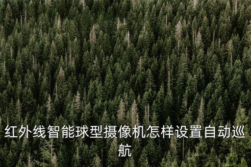 紅外線智能球型攝像機怎樣設置自動巡航