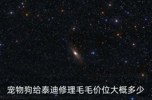 寵物狗給泰迪修理毛毛價位大概多少